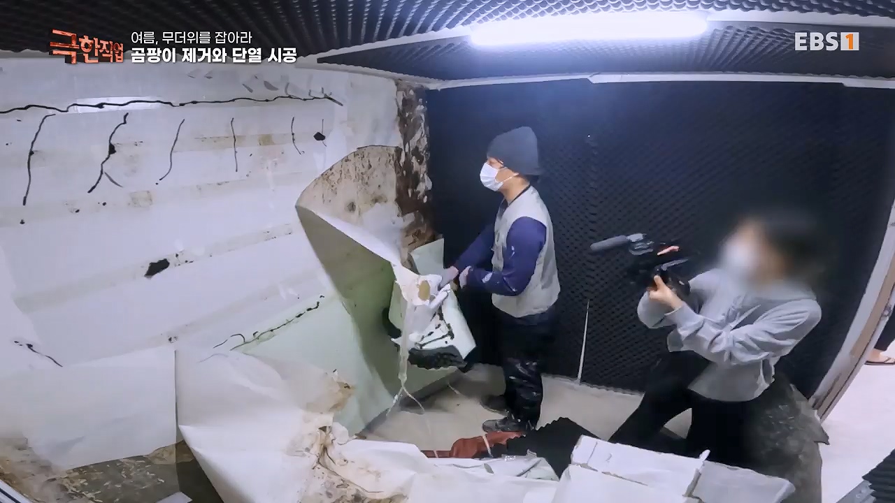 TV - 전 국민의 평생학교 EBS여름, 무더위를 잡아라 단열과 냉방.mp4_20230604_180849.756.jpg