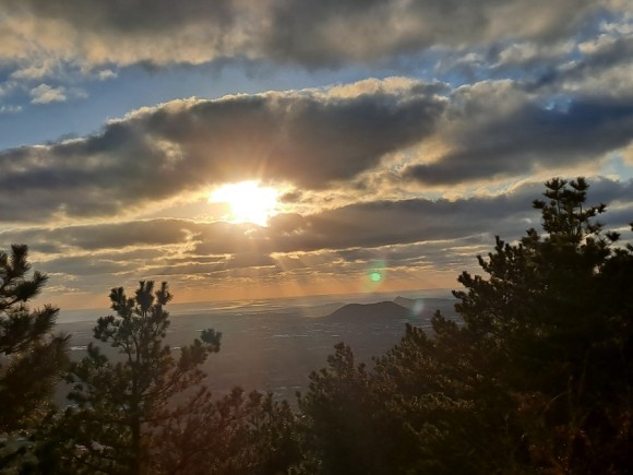 정물 당오름, 오름 그리고 금악오름 9