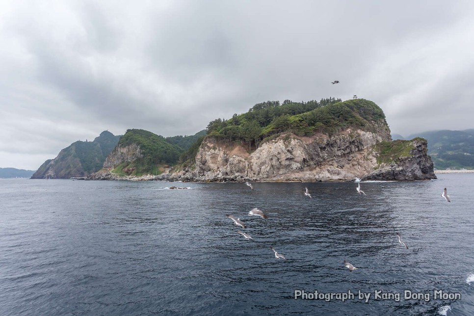 울릉도 여행 가볼만한곳 유람선 배 타기 국내 바다 추천 경북 동해안 2박3일 23