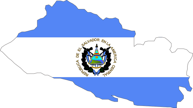 El Salvador Flag 엘살바도르 국기