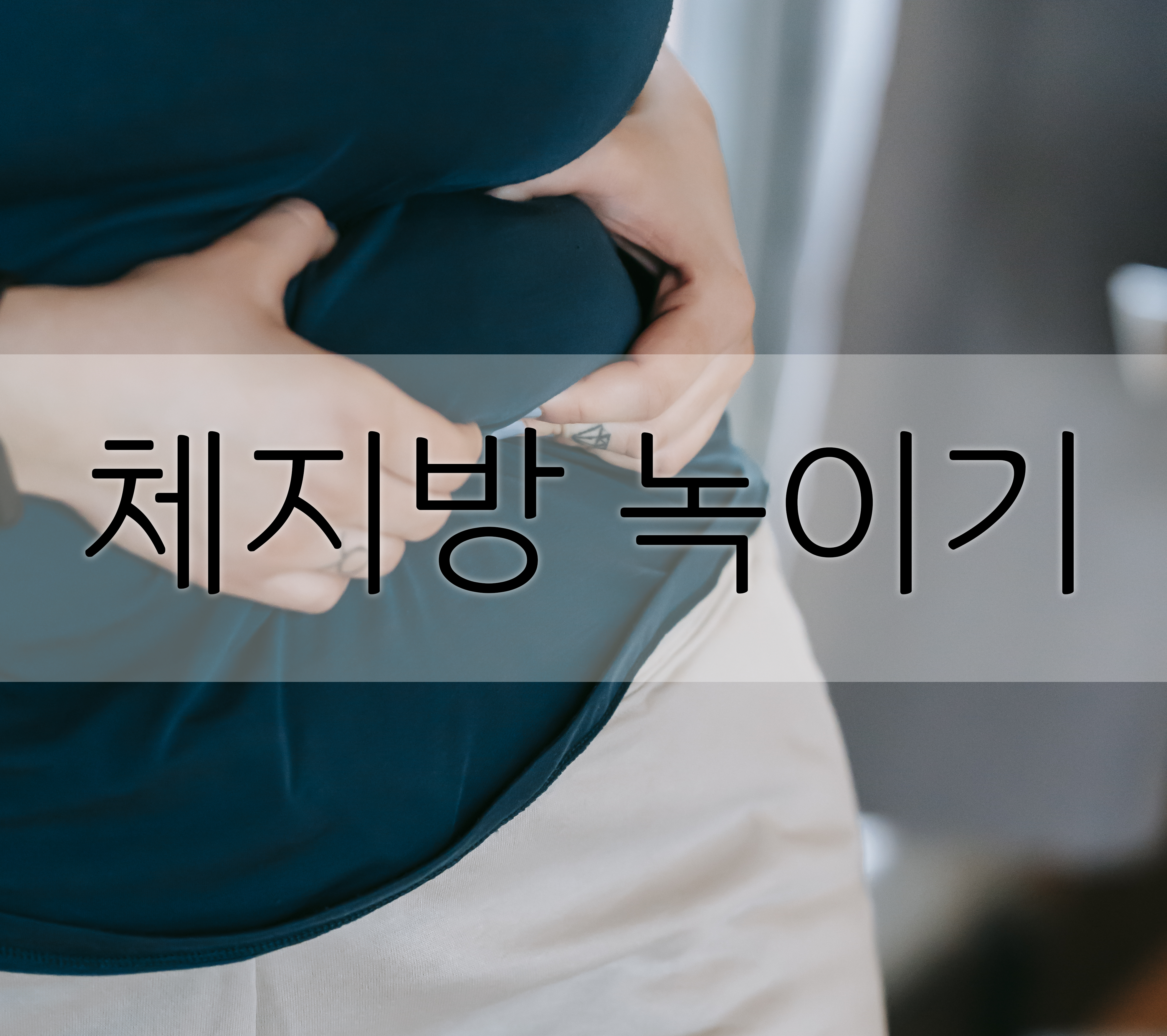  체지방 감소에 좋은 음식들을 알아보자.