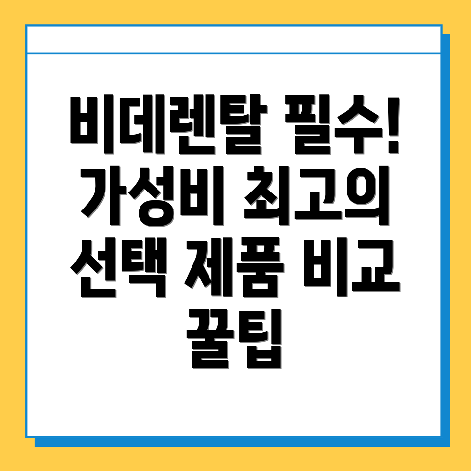 비데렌탈 가격