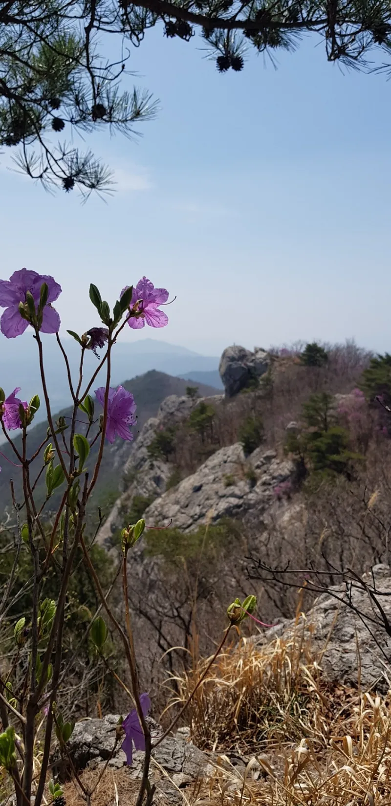 밀양 북암산 문바위 억산