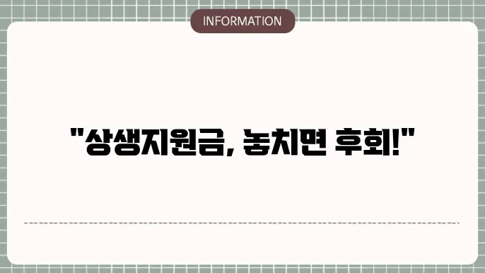 2차 소상공인 자영업자 상생지원금: 실속 정보