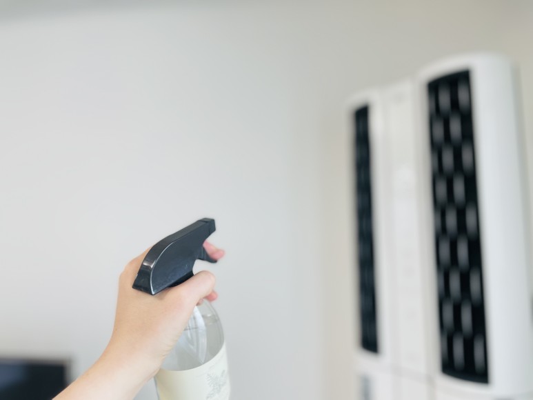 초파리 벌레 극혐오 4가지 활용법 17