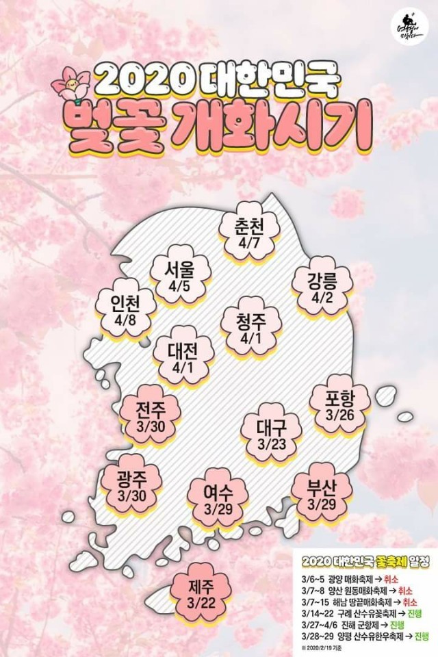 꽃보라화원 이미지