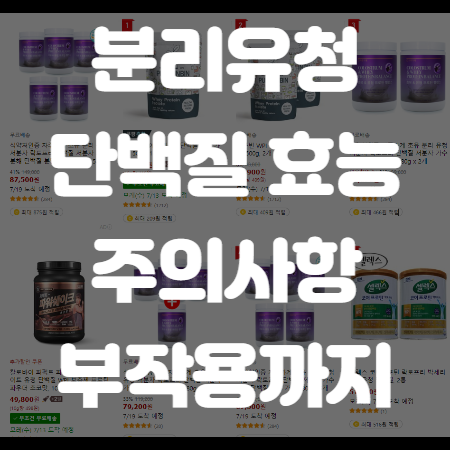 분리유청단백질