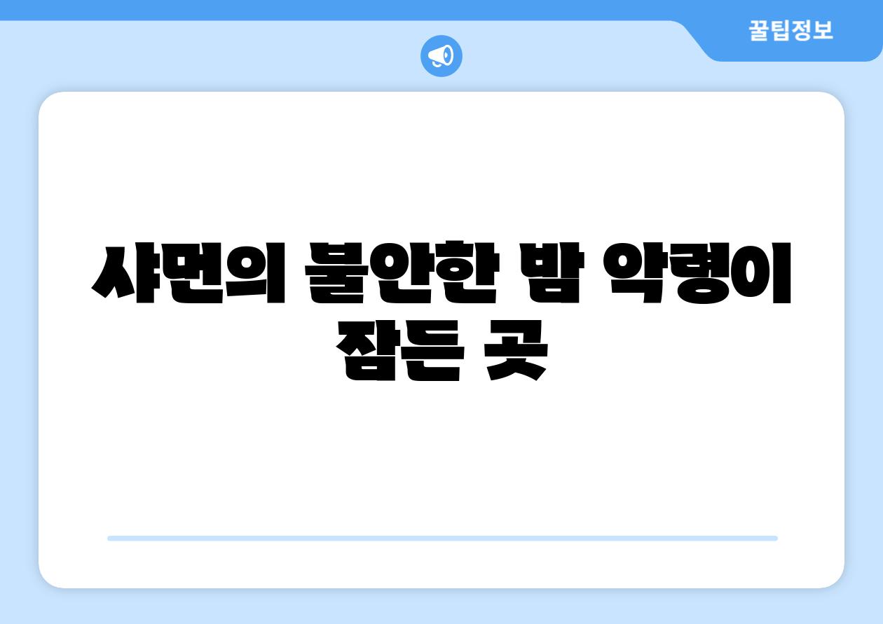 샤먼의 불안한 밤 악령이 잠든 곳
