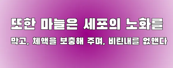  또한 마늘은 세포의 노화를 막고, 체액을 보충해 주며, 비린내를 없앤다
