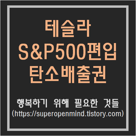  S&P500 지수란? 테슬라 S&P500 지수 편입 가능성