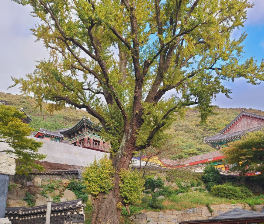 강화 보문사2