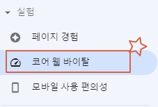 코어 웹 바이탈