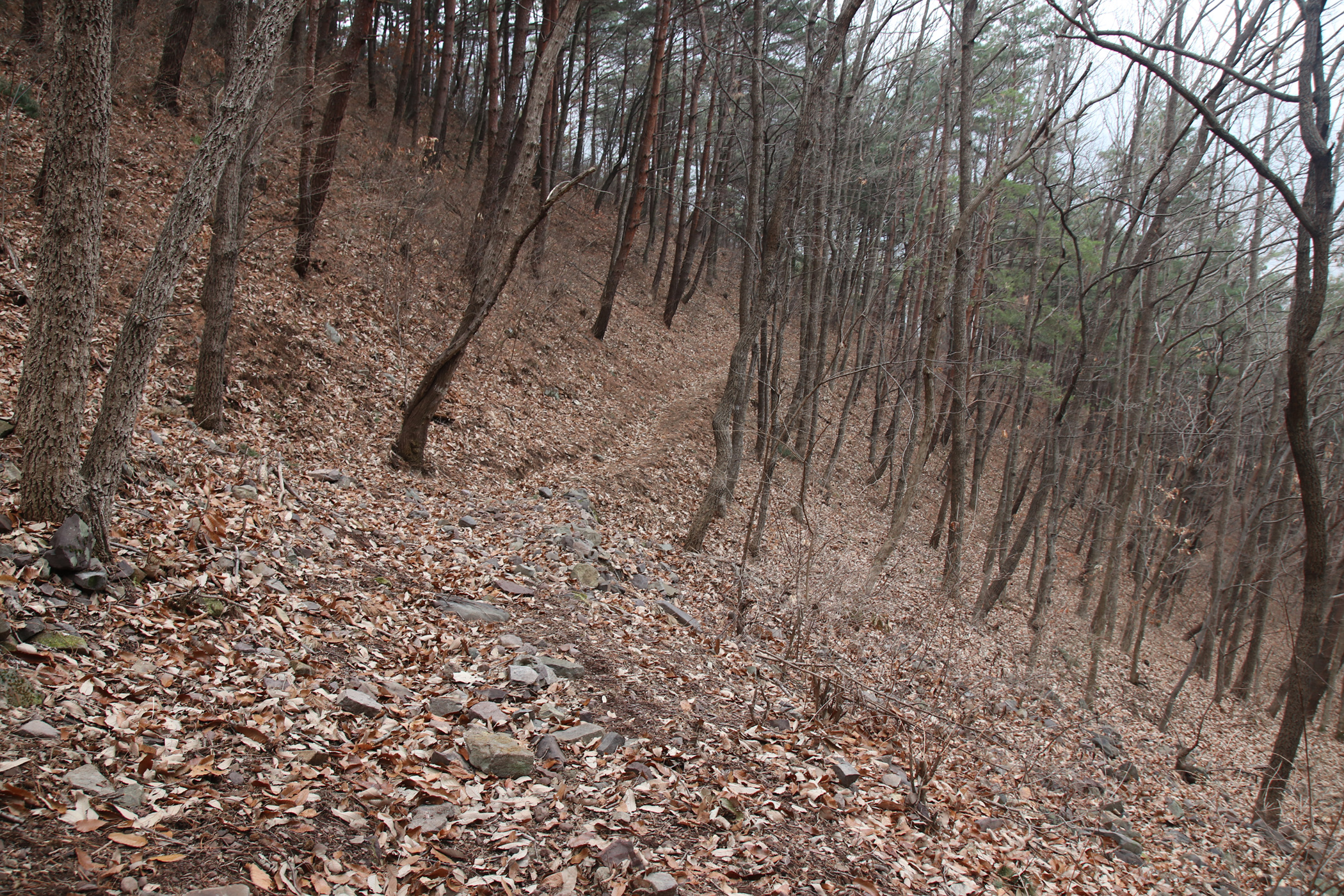 경남 의령군 국사봉 05 59