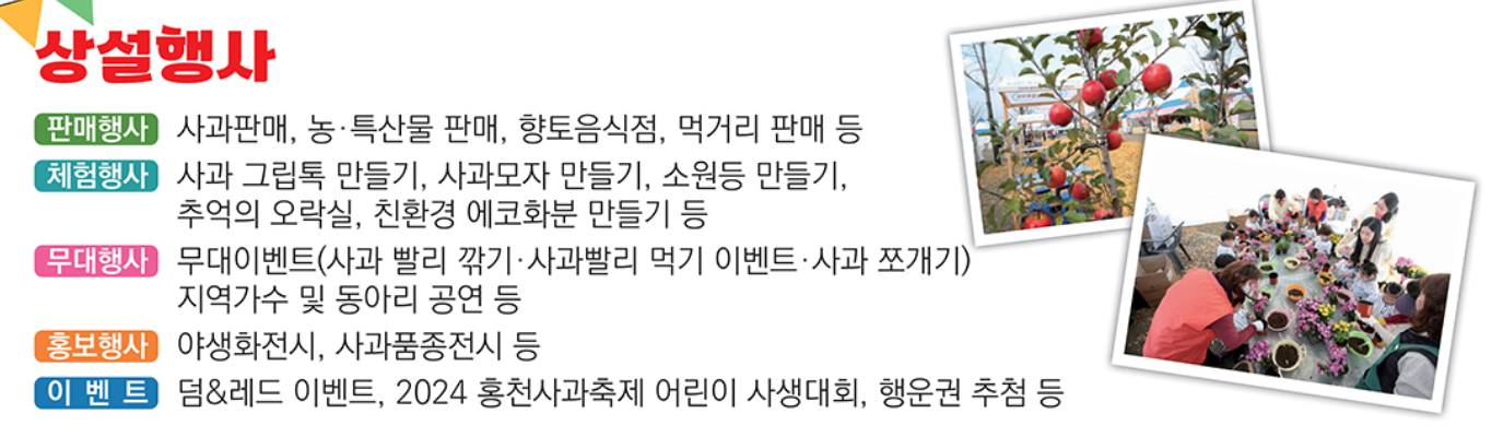 홍천 사과축제