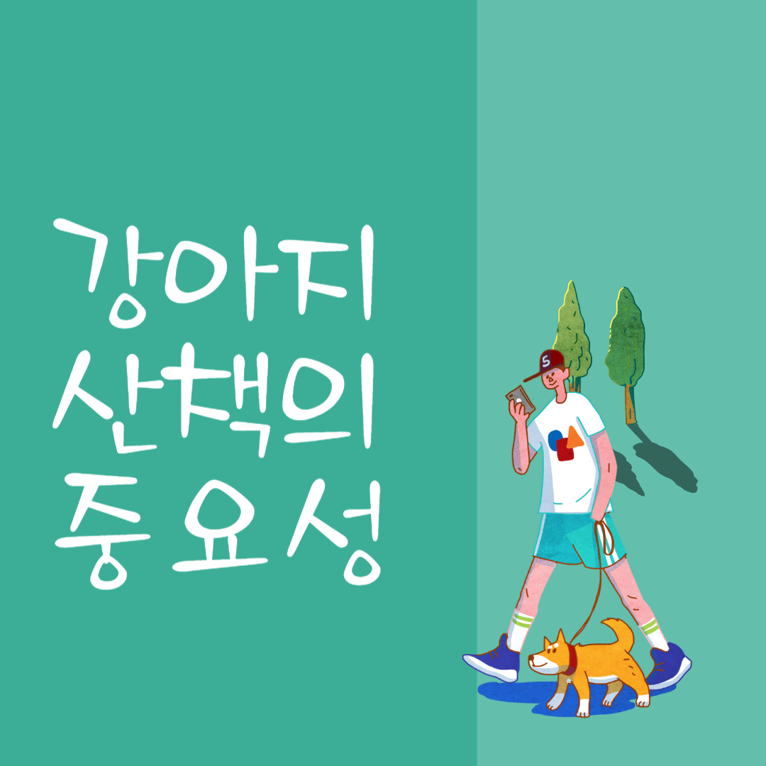 강아지 산책