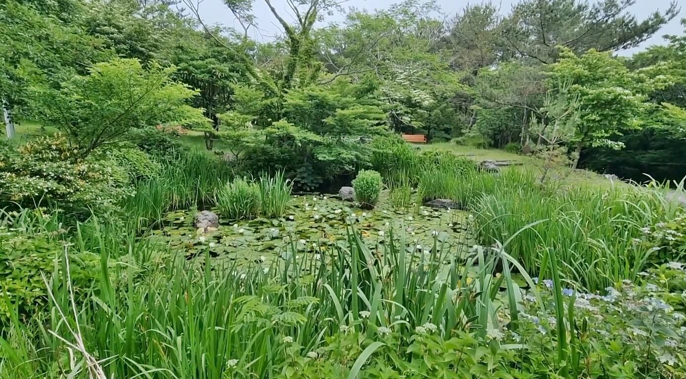 서귀포-자연휴양림