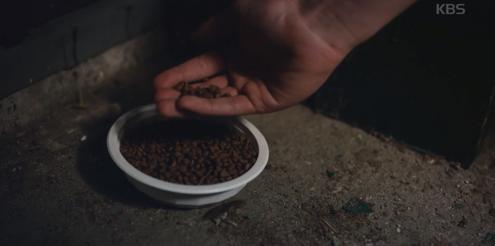 무렵 장난 정체 동백꽃 63