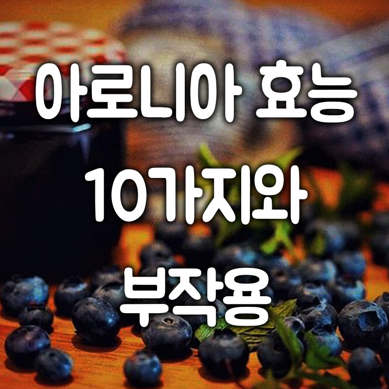 아로니아 효능 10가지와 부작용