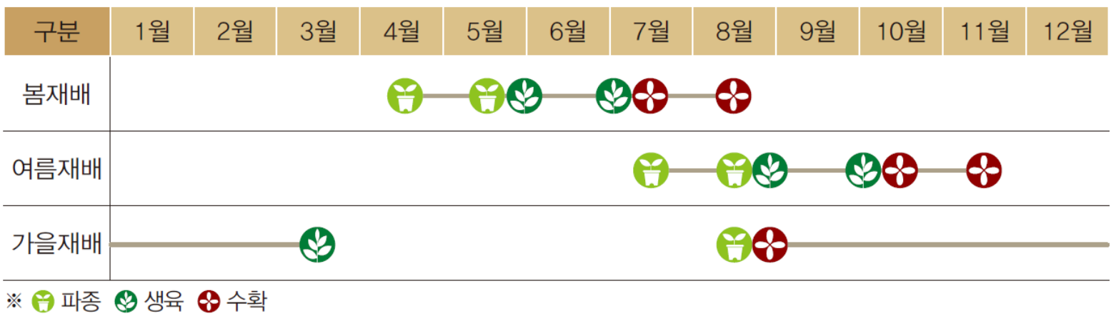 당근 파종 시기 ⓒ국립원예특작과학원