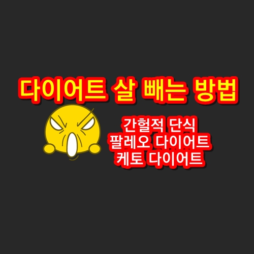 다이어트 체중 감량 방법 (다이어트 다이어트)