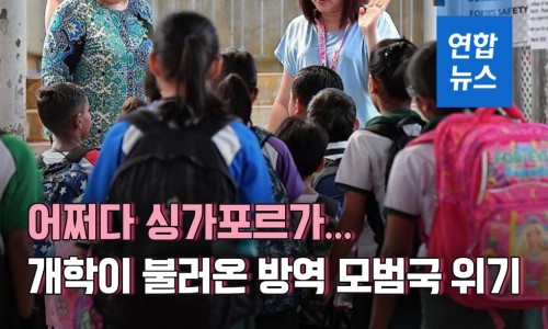  [정보] 싱가포르 코로나19 확진자 및 대응현황(5/17일기준) [12]