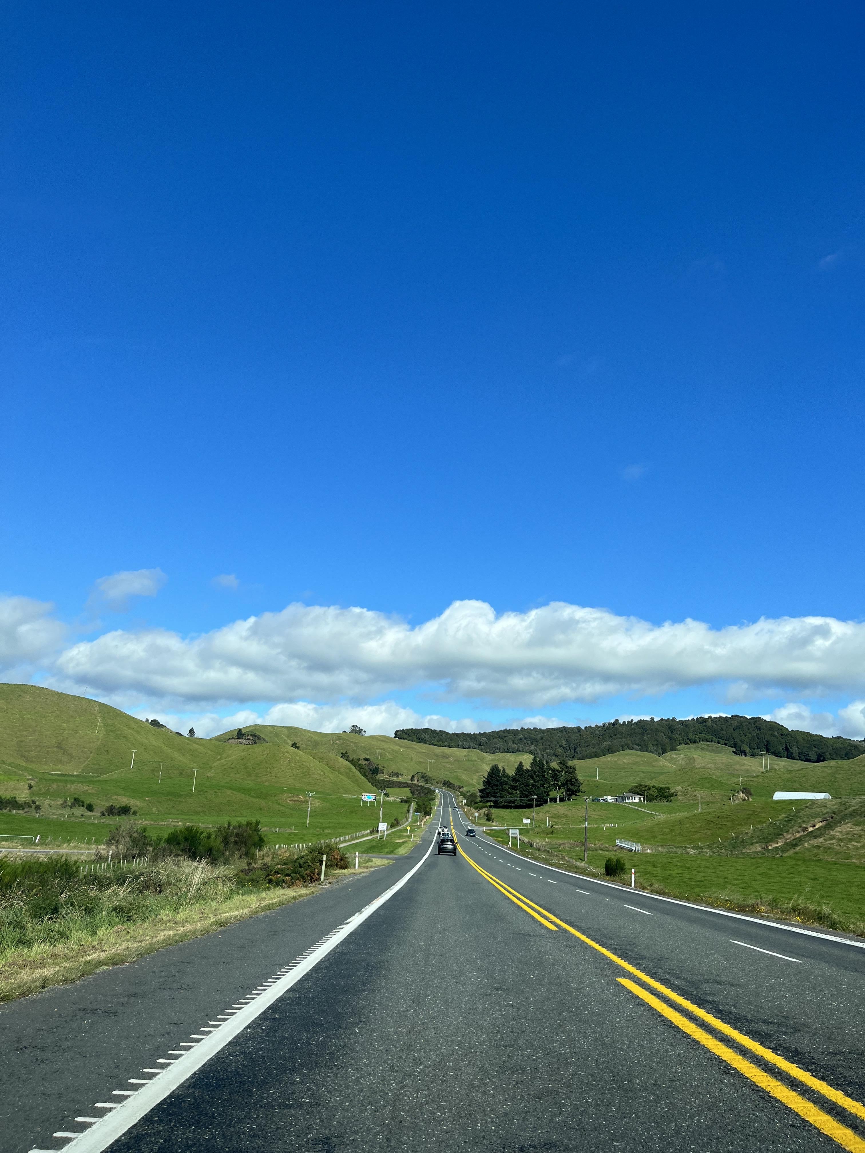 뉴질랜드 풍경