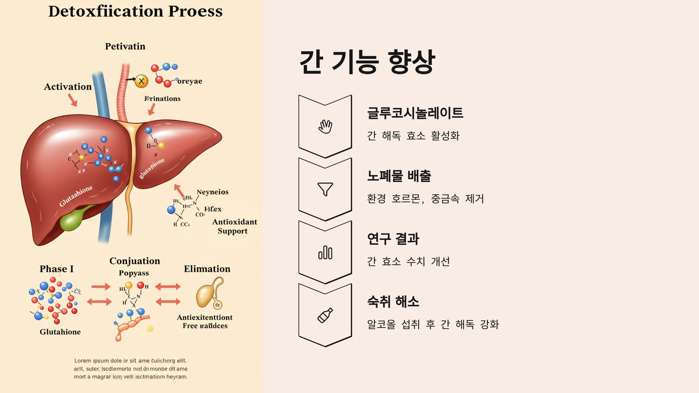 양배추가 암을 예방한다고요? 과학이 밝힌 놀라운 효능 7가지!
