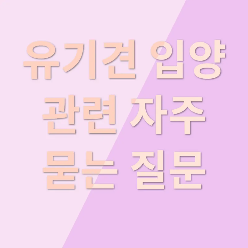 유기견 입양의 중요성_4