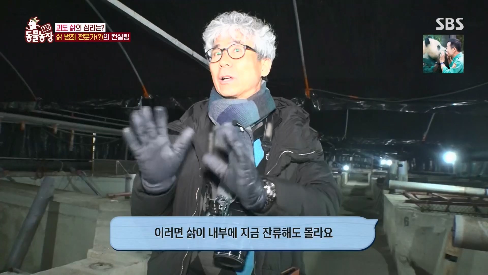 TV 동물농장.E1165.240331p.H264-F1RST.mp4_20240331_144349.397.jpg
