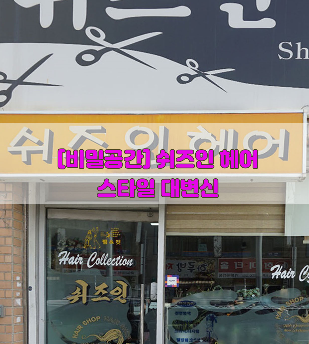  [비밀공간] 쉬즈인헤어…스타일 대변신
