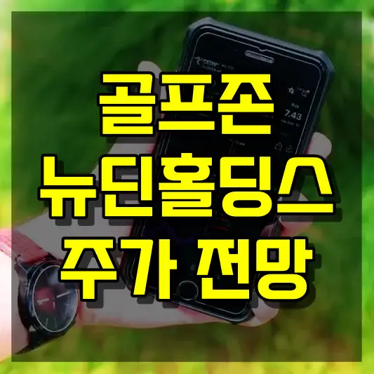 골프존뉴딘홀딩스 주가 전망