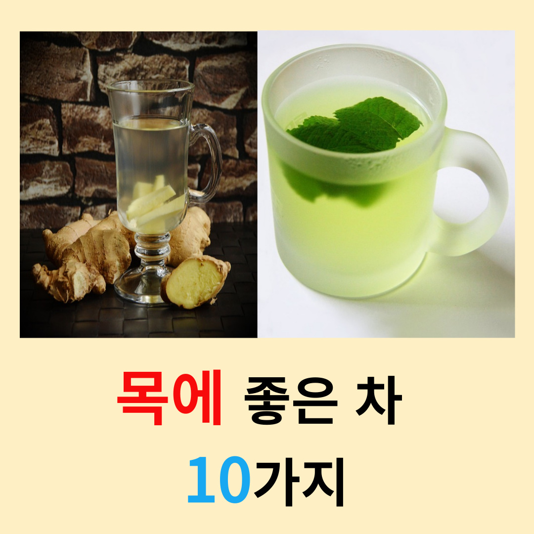 목에-좋은-차-10가지
