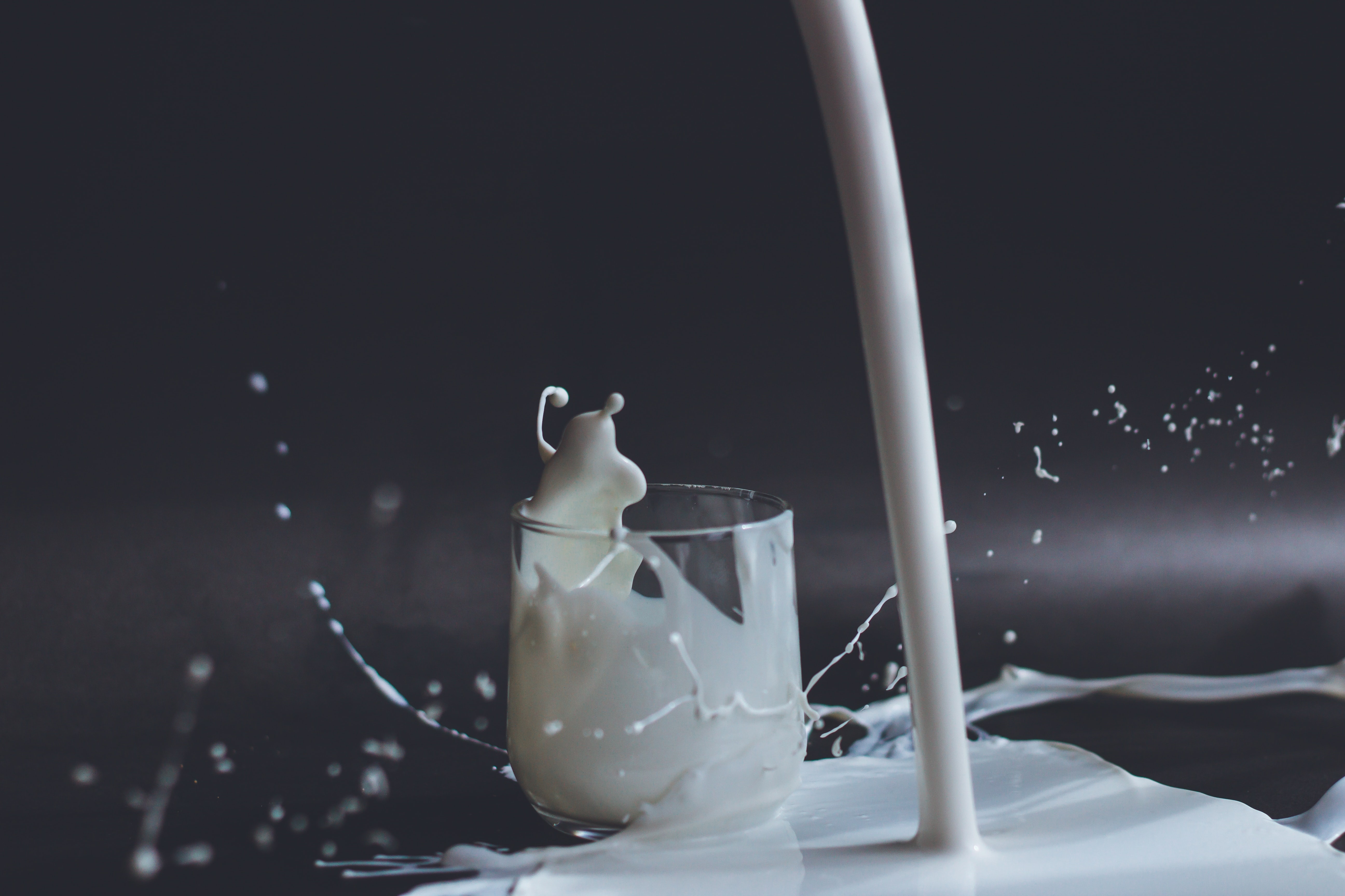 우유 영양성분 포함 등 효능 5가지