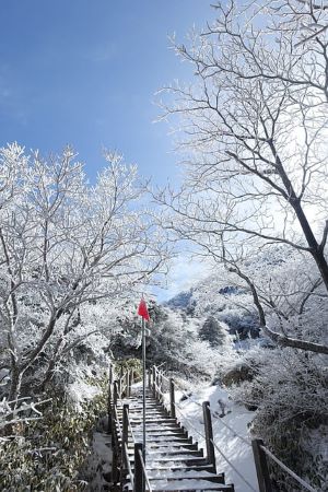 안전-유도-깃발이-꽂힌-한라산-탐방로-사진