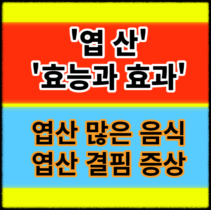  엽산 효능 효과 많은 음식 엽산 결핍 부족증상 정보