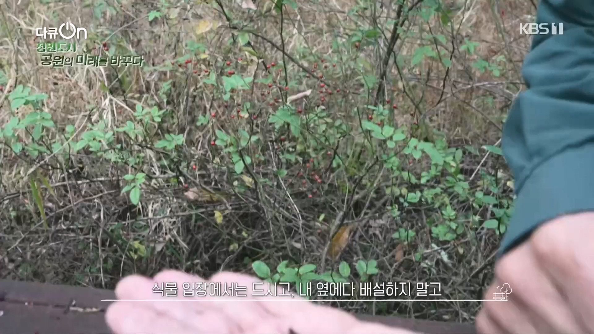 다큐 On.E230.231209p.H264-F1RST.mp4_20231211_200303.394.jpg