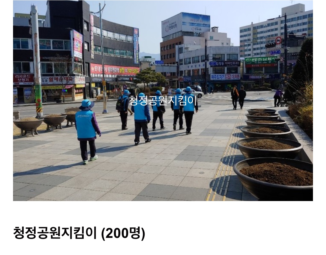 원주시 노인일자리 사진