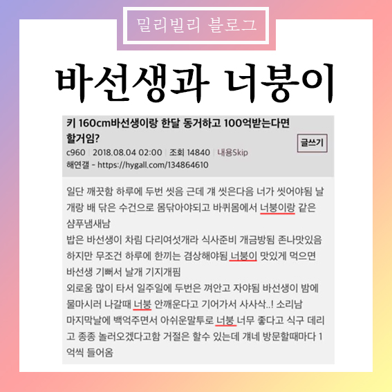 바선생 뜻 너붕이 뜻 나붕이 뜻 해연갤이란? 해연갤 뜻