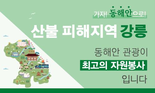  강릉 산불 피해지, 관광이 최고의 자원봉사!