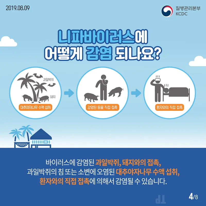 니파 바이러스 감영 경로 그림 출처 질병관리청