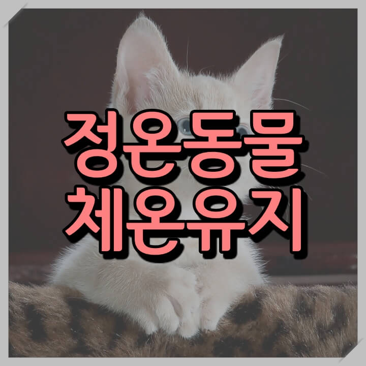  인간이 체온을 유지하는 이유