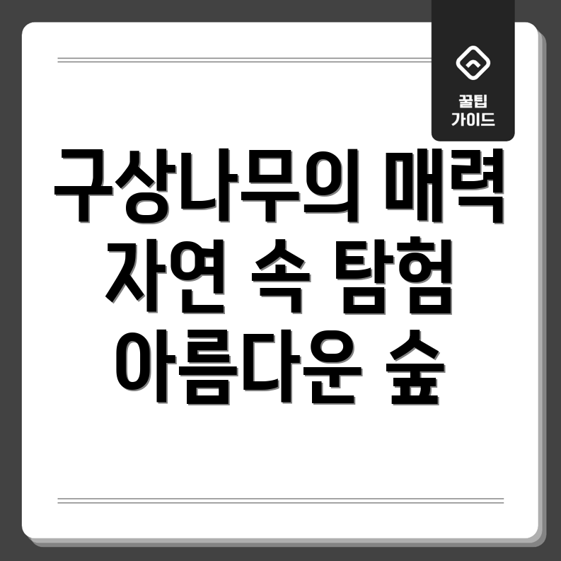 구상나무