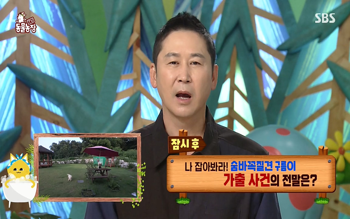 TV 동물농장.E1080.220732p-NEXT.mp4_20220731_174210.884.jpg
