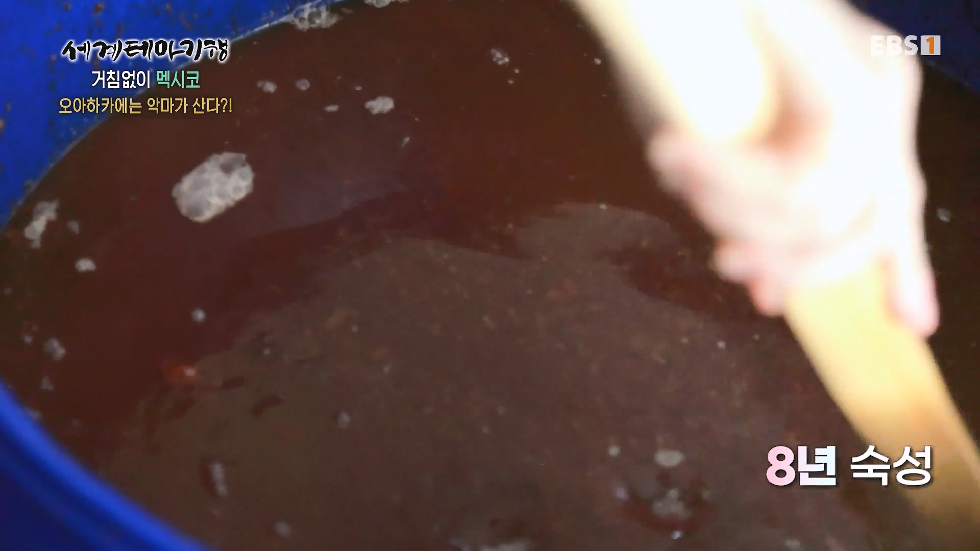 세계테마기행 240110 거침없이 멕시코 -맵다 매워 삐까삐까, 오아하카0p.mp4_20240713_163409.508.jpg