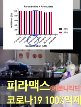  신풍제약 피라맥스가 코로나19에 효과? 논문관련 내용