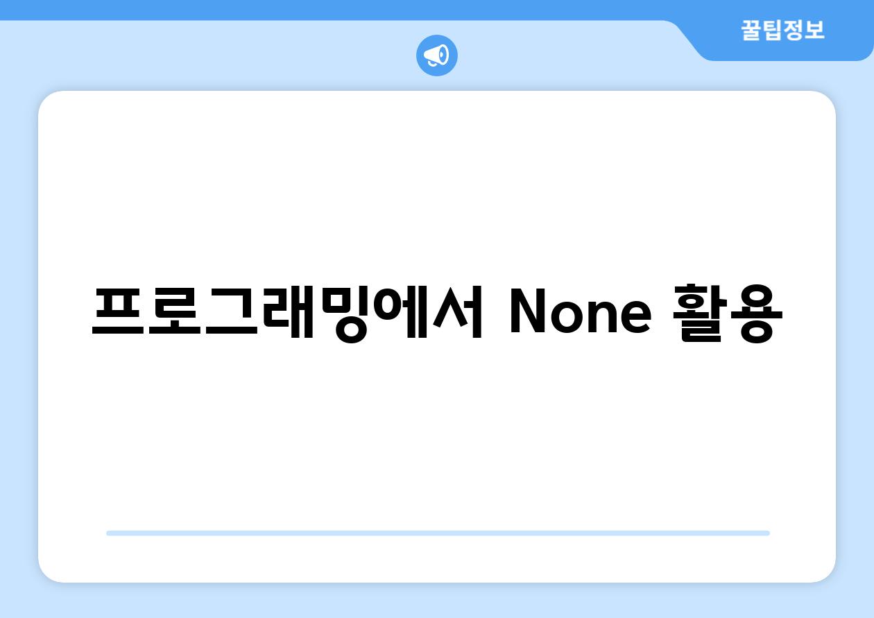 프로그래밍에서 None 활용