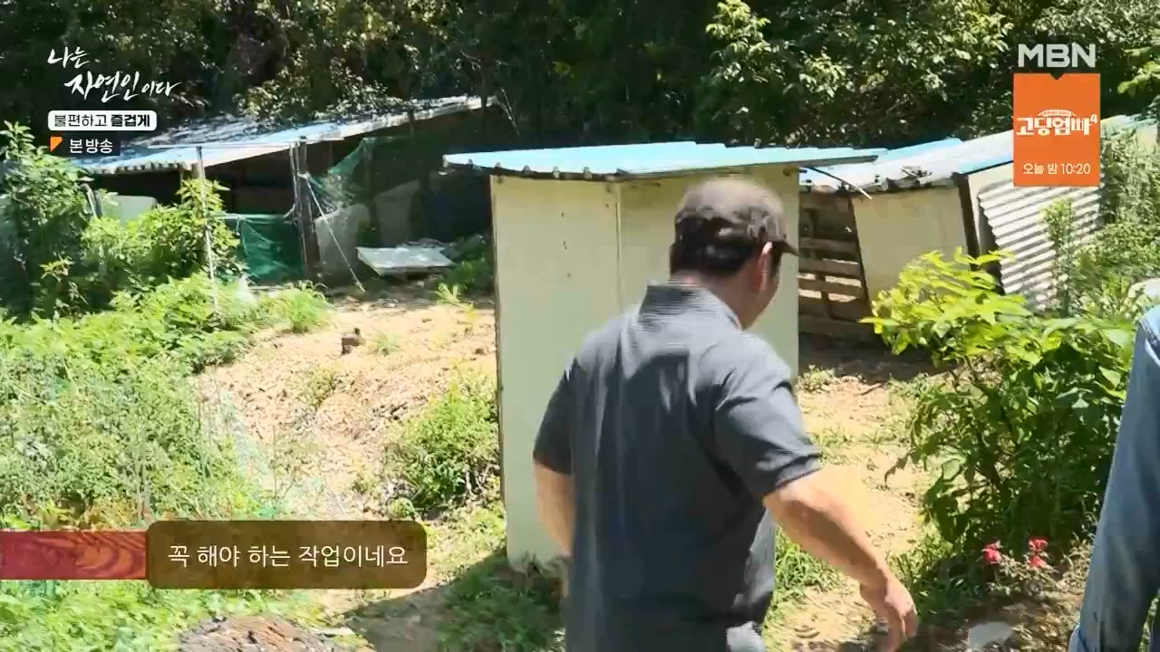 나는 자연인이다.E566.230810p.WANNA.mp4_20230810_202605.089.jpg