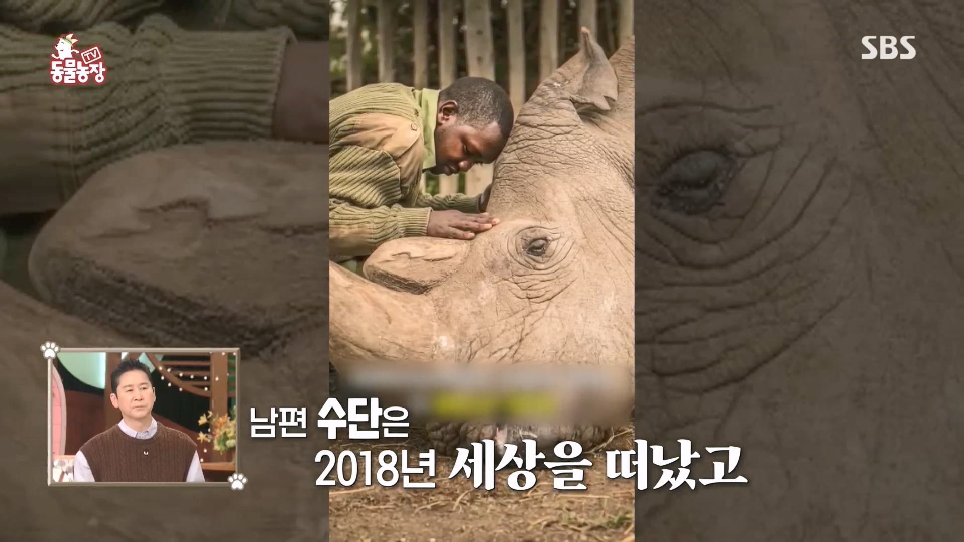 TV 동물농장.E1160.240225p.H264-F1RST.mp4_20240225_162648.302.jpg