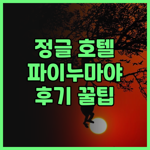 이리오모테지마 정글 호텔 파이누마야,