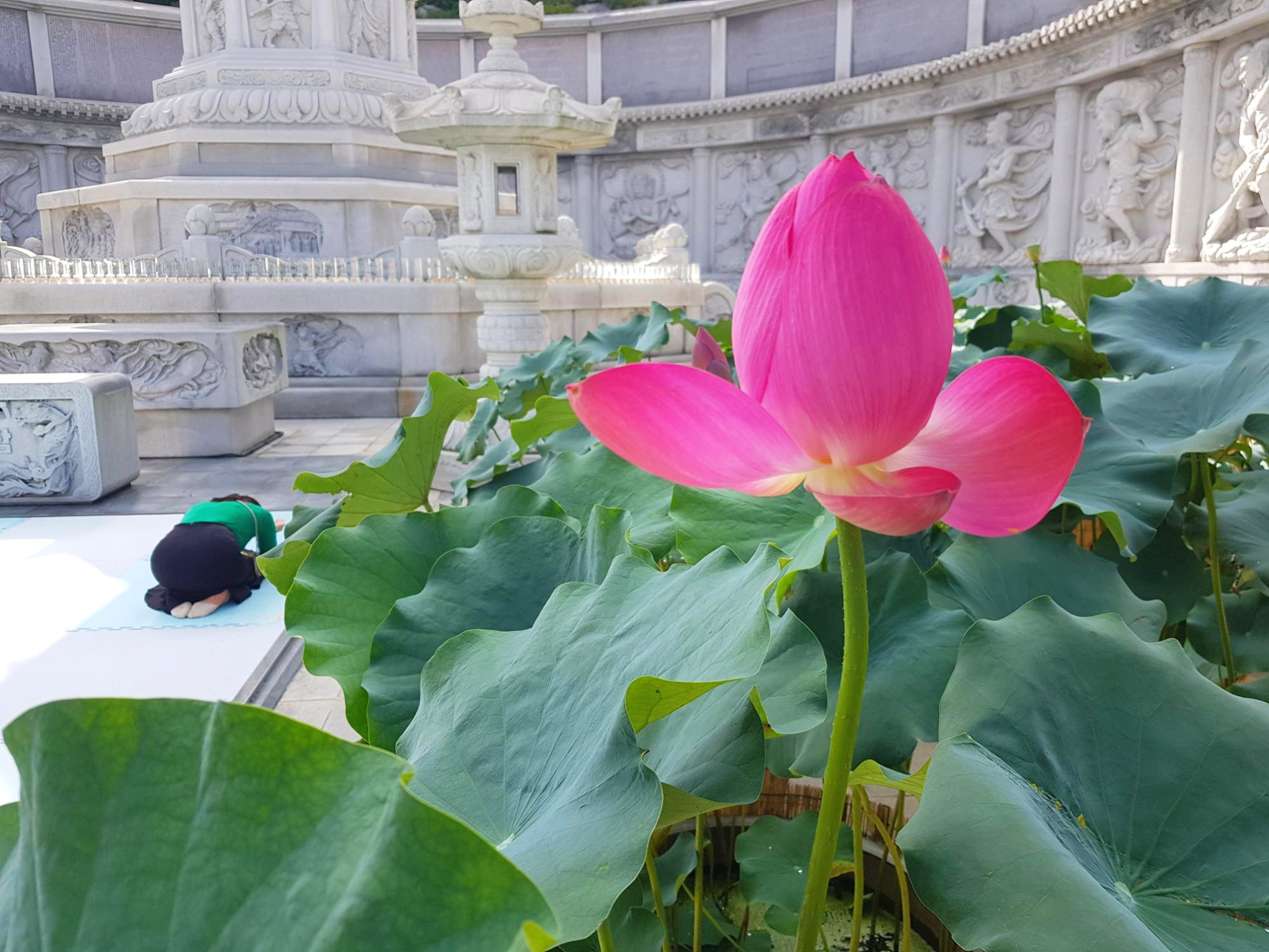  [부산 가볼만한 곳, 부산 사찰, 부산 삼광사 탐방] 영화 신세계 촬영지 부산 삼광사 탐방!